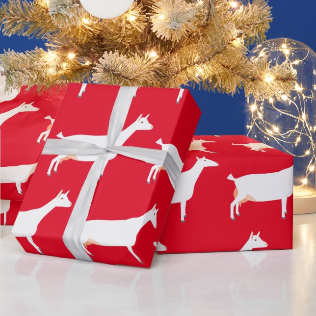 White Saanen Dairy Goat Farm on Red Presentpapper (Helgdagar)