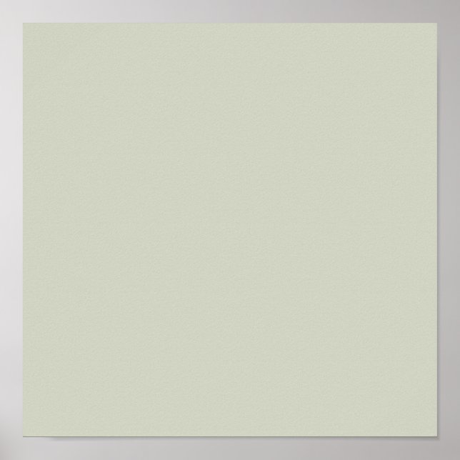 White Sage Solid Färg Poster (Framsidan)