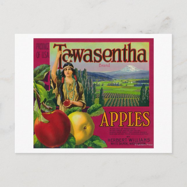 White Salmon, Washington - Tawasentha Apple Labe Vykort (Framsida)