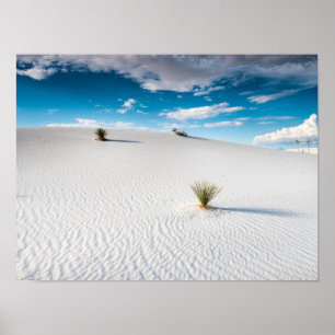 White Sands Blå himmel Yucca, New mexico Poster