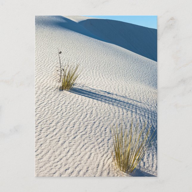 White Sands Desert Dunes liggande Vykort (Framsida)