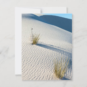 White Sands Desert Dunes liggande Vykort