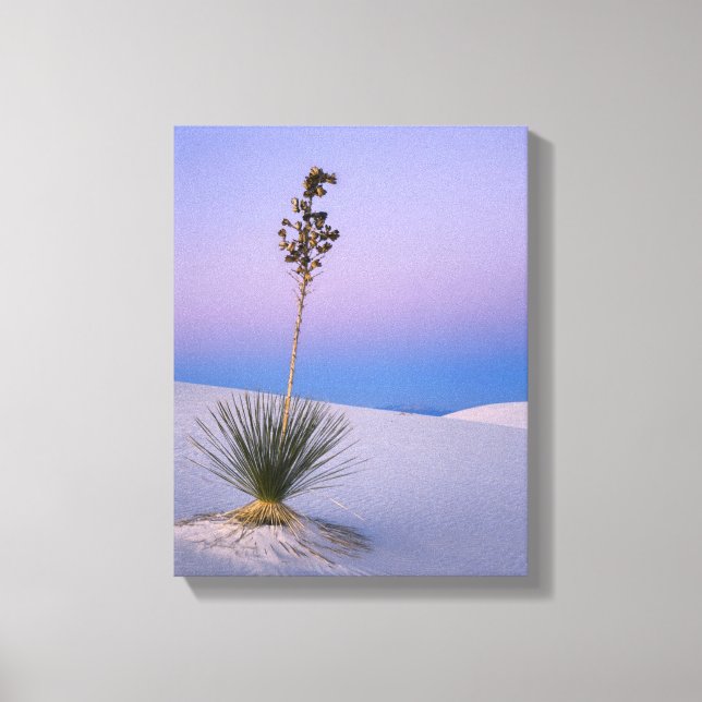 WHITE SANDS NATIONAL MONUMENT, NEW MEXICO. CANVASTRYCK (Framsida)