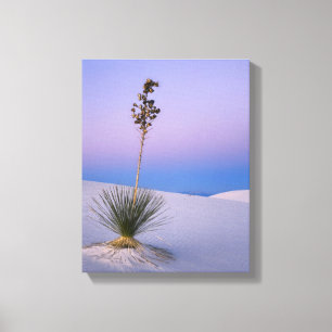 WHITE SANDS NATIONAL MONUMENT, NEW MEXICO. CANVASTRYCK