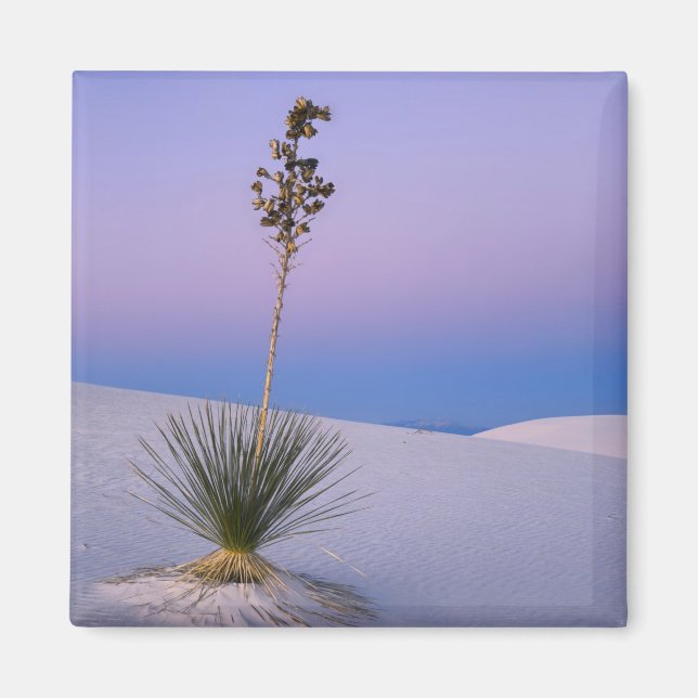 WHITE SANDS NATIONAL MONUMENT, NEW MEXICO. MAGNET (Framsidan)