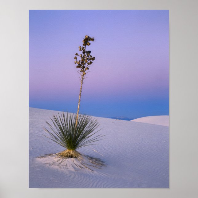 WHITE SANDS NATIONAL MONUMENT, NEW MEXICO. POSTER (Framsidan)