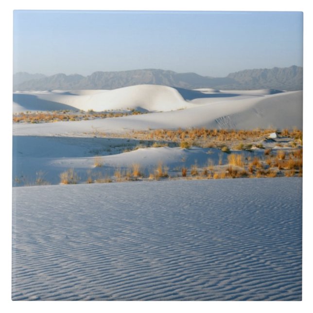 White Sands National Monument, tvärgående dyner Kakelplatta (Framsidan)