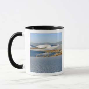White Sands National Monument, tvärgående dyner Mugg