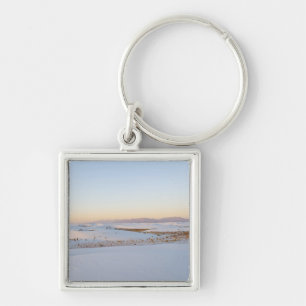 White Sands National Monument, tvärgående sanddyne Fyrkantig Silverfärgad Nyckelring