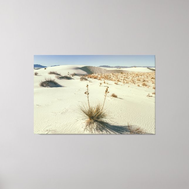 White Sands National Park Canvastryck (Framsida)