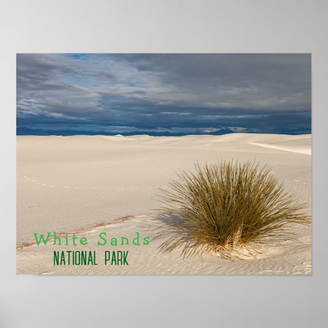 White Sands National Park Poster (Framsidan)