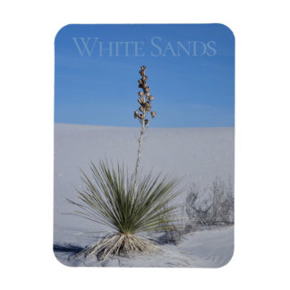 White Sands National Park Souvenir Kylskåp Magnet
