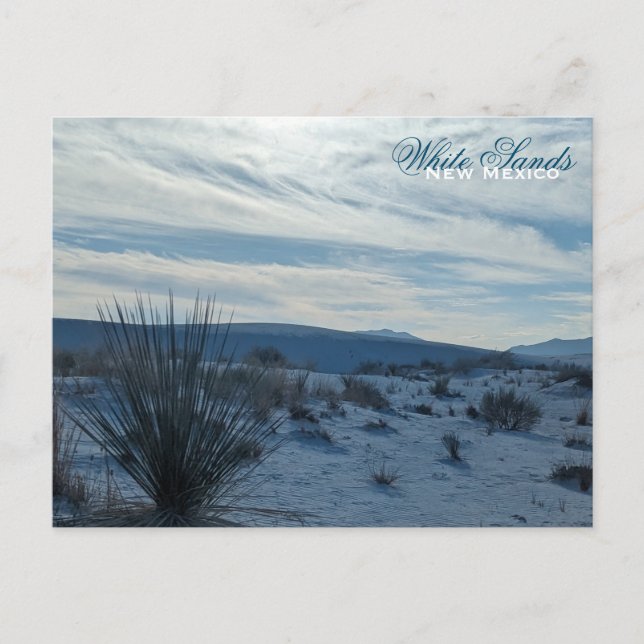 White Sands New mexico Desert Southwest Sand Dunes Vykort (Framsida)