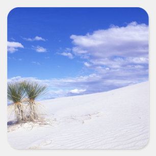 White Sands NM, New Mexico, Förenta staterna Fyrkantigt Klistermärke