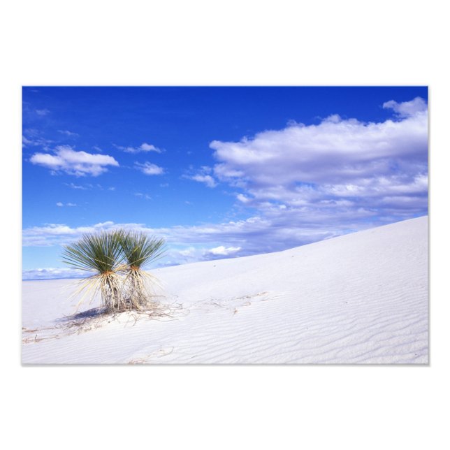 White Sands NM, New mexico, USA Fototryck (Framsidan)