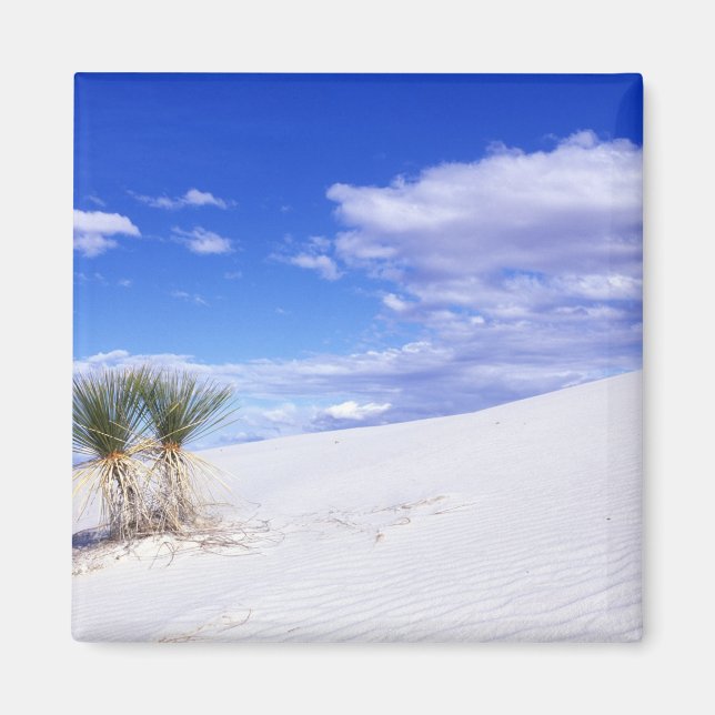 White Sands NM, New mexico, USA Magnet (Framsidan)