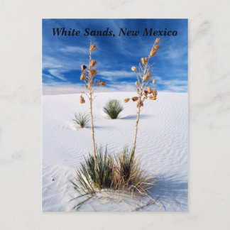 White Sands Vykort