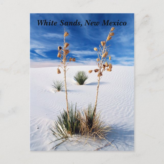 White Sands Vykort (Framsida)
