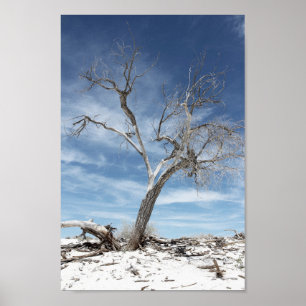 White Sands Zion National Park Photo Poster