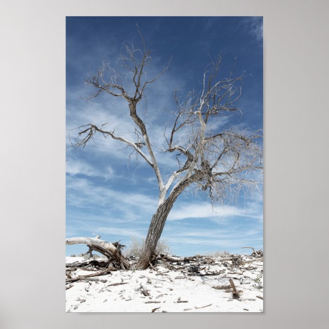 White Sands Zion National Park Photo Poster (Framsidan)