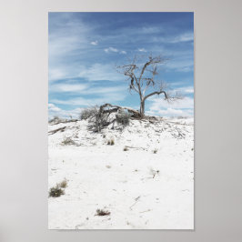 White Sands Zion National Park Photo Poster