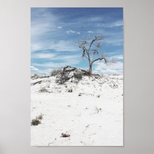 White Sands Zion National Park Photo Poster