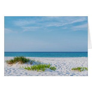 White Sandy Beach Florida Kusten Greeting Card Hälsningskort