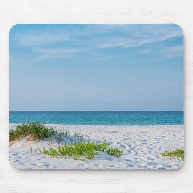 White Sandy Beach Florida Kusten Musmatta (Framsidan)