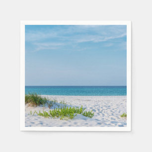 White Sandy Beach Florida Kusten Pappersservett