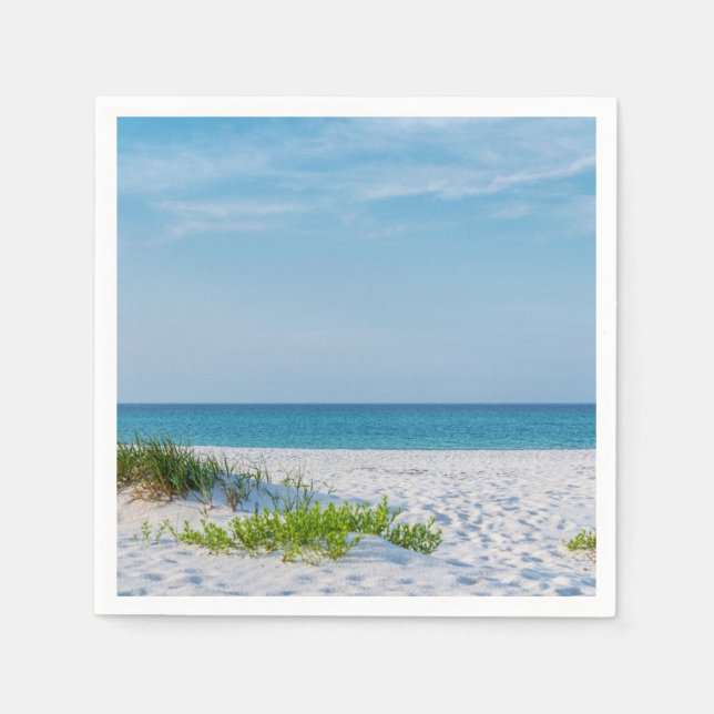 White Sandy Beach Florida Kusten Pappersservett (Framsidan)