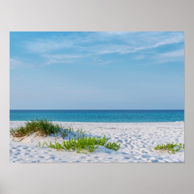 White Sandy Beach Florida Kusten Poster (Framsidan)