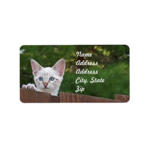 White Savannah Cat Adress Sticker Adressetikett