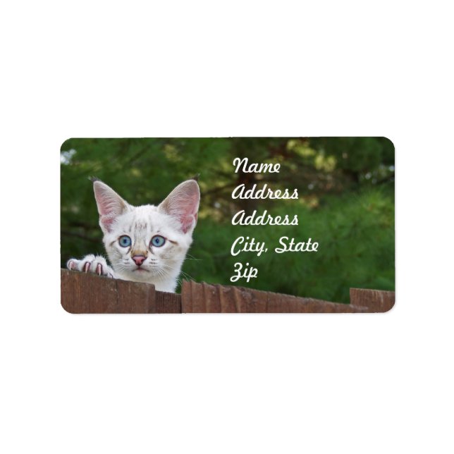 White Savannah Cat Adress Sticker Adressetikett (Framsidan)