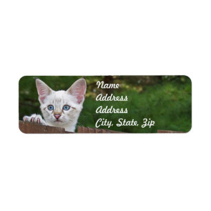 White Savannah Cat Returadress Sticker Etikett