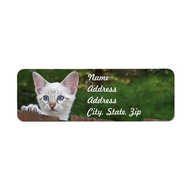 White Savannah Cat Returadress Sticker Etikett (Framsidan)