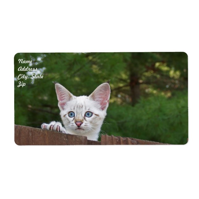 White Savannah Cat Shipping Label Fraktsedel (Framsidan)
