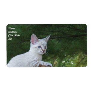 White Savannah Cat Shipping Label Fraktsedel