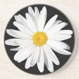 White Shasta Daisy Sandstone Underlägg Sandsten