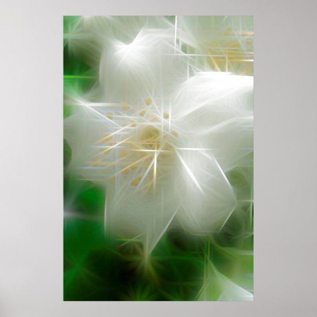 White Shiny Jasmine Poster (Framsidan)