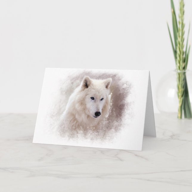 WHITE SIBERIAN HUSKY. KORT (Framsida)