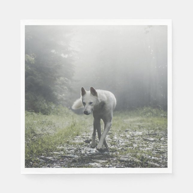 White Siberian husky Pappersservett (Framsidan)