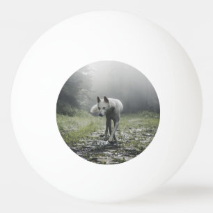 White Siberian husky Pingisboll