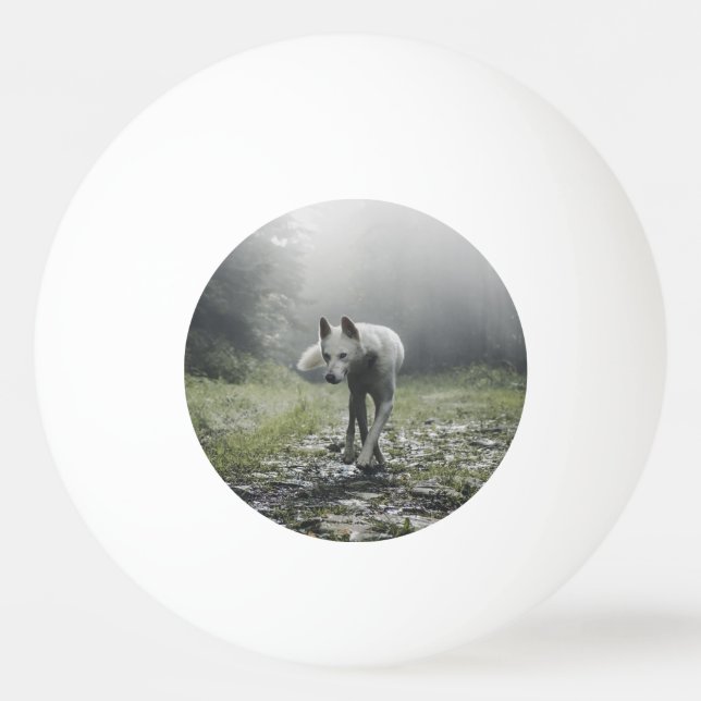 White Siberian husky Pingisboll (Framsidan)