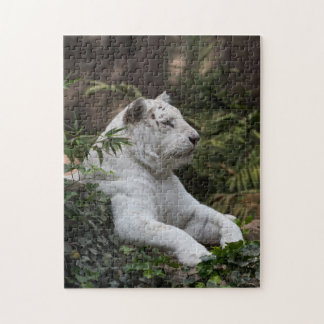 White Siberian Tiger Pussel
