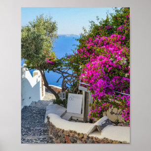White Signage Beside Lila Bougainvillea Poster