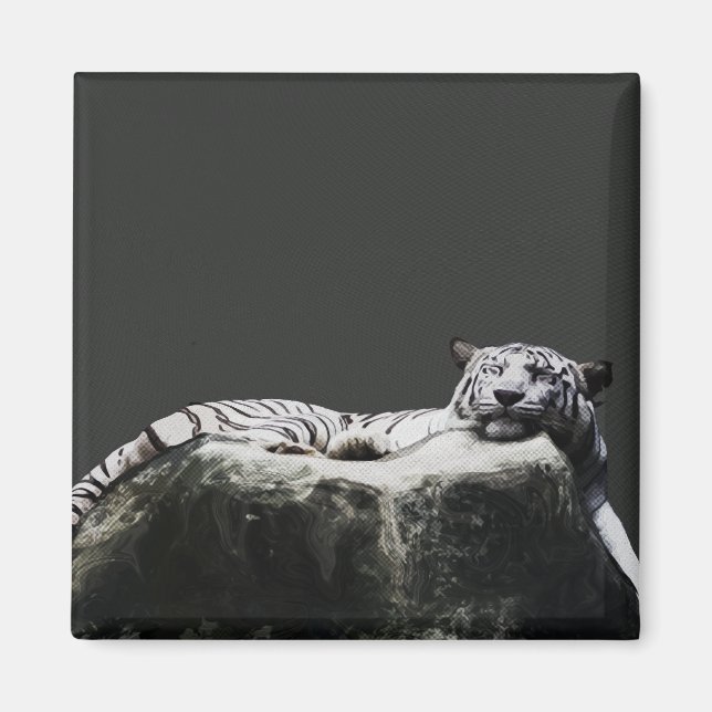 White snö Tiger - Big Cat sover Magnet (Framsidan)