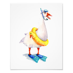 White Snorkeling Goose Fototryck