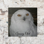 White Snowy Uggla Nature Photo Kakelplatta<br><div class="desc">För uggla fläkt! Keramiskt plattor med fotobilden av ett Snowy Uggla med gult öga. Markera din ruta storlek. Gör en underbar kökstrivet!</div>