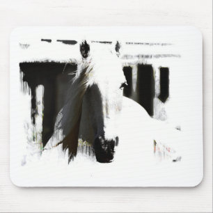 White Stallion Artwork Musmatta