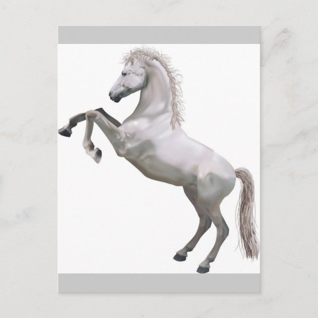 White Stallion Vykort (Framsida)